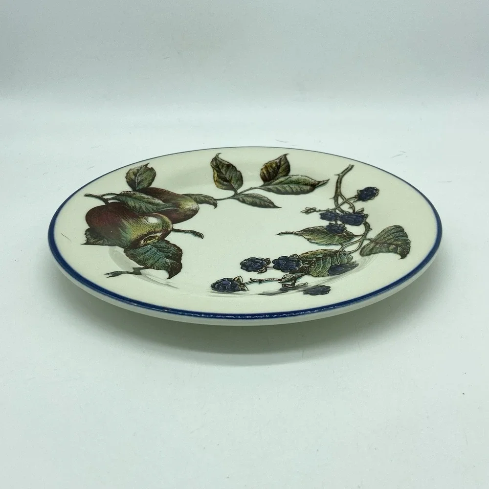 Pier 1 Macintosh Salad Plates Set Of 2  8
